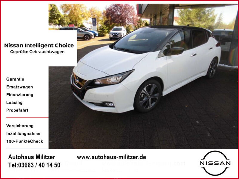 Nissan Leaf N-Connecta Navi Kamera Sitzh. Winterpaket